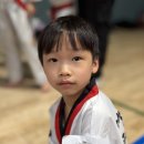 경희대 석사 백호태권도장 이미지