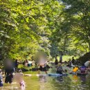 산수정산장 | [후기] 순천 청소골 계곡 한식대첩 산수정 산장 닭구이