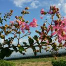 주호수산 - 사천시 어시장길 24-6 | 주호수산