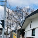 2호화장실(개나리화장실) 이미지