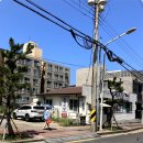 갈치고등어조림전문점 이미지