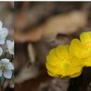 무등산한의원 이미지