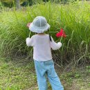 국유림 | 경기도 아이와 봄나들이, 수원국유림관리소 무료 숲체험 숲해설 신청방법 총정리
