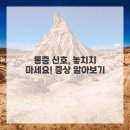 양재본정형외과의원 네이버블로그