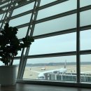 일본 여행 (오사카)