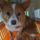 지에스25부천내동점 이미지