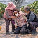 농식품 빅데이터 분석과 활용전략 이미지