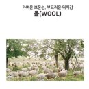 옴 므 이미지