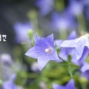 태평농원