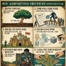 제2부. '농업회사법인'이라는 이름의 투명 망토 (권력층의 합법적 은닉술)