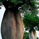 나무숨(주)