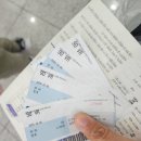 아이스토리 안경 태백점 | [안전불감증 태워버려!! 태백 365세이프타운] 태백 가볼만한곳 여기있었네!