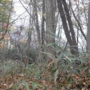 일봉목장 이미지