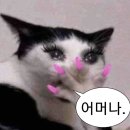 주u네일 | 오호라 네일 강화제 사용 후기| 내추럴 글로우 밀크시럽 얼그레이 발색 후기 누디톤 웜톤 손톱 강화제...