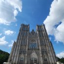 더 드림싱어 | 포레스텔라 심포니 앙코르 찐막공 후기 "할렐루야"