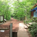 한라산둘레길 사려니숲길 이미지