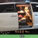 펫택시펫카 이미지