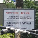 논현스타약국