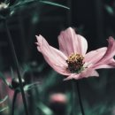 조은노래연습장 이미지