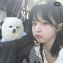 정보민 카카오 검색결과