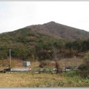 불태산농장 이미지