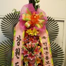 31갤러리 티스토리