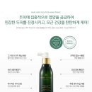 박하향헤어 네이버블로그