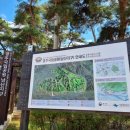 삼릉종가 이미지