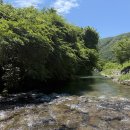 옥녀탕유원지 | 여름 물놀이 필수! 전국 숨겨진 계곡 명소 총정리 (입장료·취사·캠핑 정보까지)