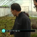 보약밥상 이미지