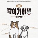 가야 2 | 2025 제2회 같이가야댕 댕트레킹 후기(반려견 동반 트레킹, 네트워킹, 김해청년어울림센터)