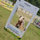 덕일어린이집 이미지