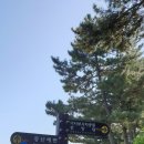 국토종주 해파랑길 삼척.동해구간 제 32코스(추암해변...증산해변,해가사의터,삼척해변,이사부길,해신당...
