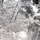 금강여인숙 이미지