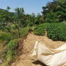 남해-165 이미지