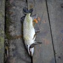 음악으로배우는영어 이미지