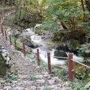 해오름 유아숲체험원 이미지