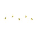 워시 앤 웍스 이미지