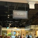 에이치541 이미지