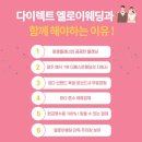 다이렉트올인원