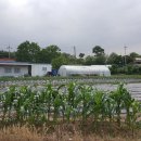 조암동물병원 이미지