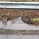 덕성2농장 이미지