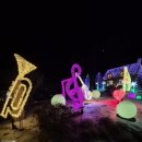 스머프동물병원 | [ 경기도 가평 ] 나무에 불빛 가득 예쁜 이곳 오색별빛정원전｜ 아침고요수목원