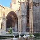 비둘기세탁소 | [바르셀로나 여행기] 스페인 음식이 그렇게 맛있다면서