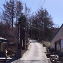 2월 태백산 유일사 주차장 코스 :) 으쌰 으쌰