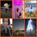 장유중앙광장(대청동 155) | 김해 맛집) 장유 스시 초밥 맛집 / 대청동 가성비 초밥 / 장유 초밥 추천 ❛ 스시마셍 ❜