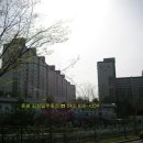 삼일아파트 여자 이미지