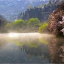 (주)화순교통 Daum카페