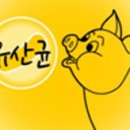 대영축산물유통