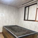 수목한의원 | [관리 루틴] 자하생식 효소찜질 후기｜땀 제대로 나는 자연발효 찜질 (주차·효과 총정리)